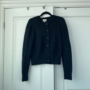 Aritzia Wilfred Cardigan